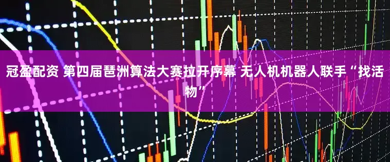 冠盈配资 第四届琶洲算法大赛拉开序幕 无人机机器人联手“找活物”