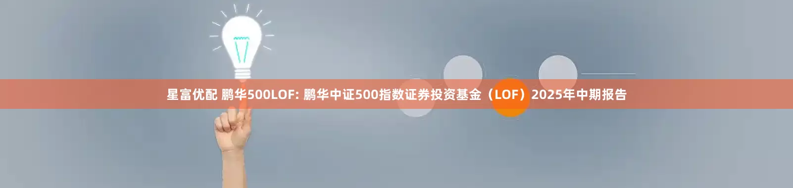 星富优配 鹏华500LOF: 鹏华中证500指数证券投资基金（LOF）2025年中期报告