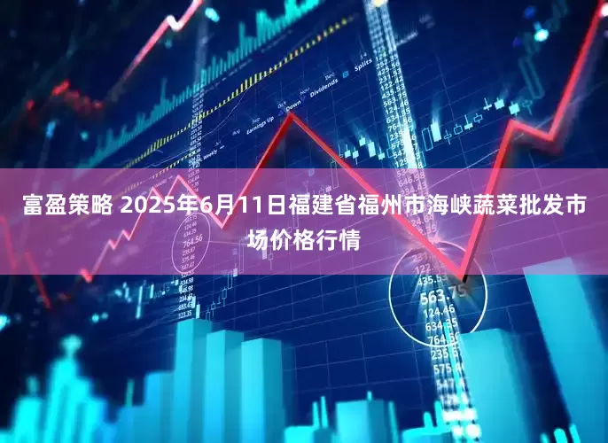 富盈策略 2025年6月11日福建省福州市海峡蔬菜批发市场价格行情